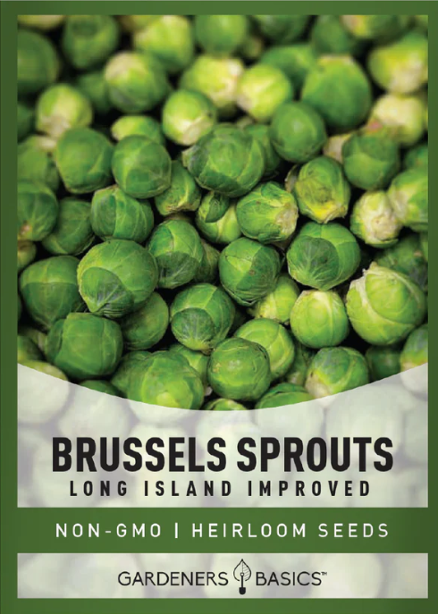 Long Island Improved Brussels Sprouts Seeds