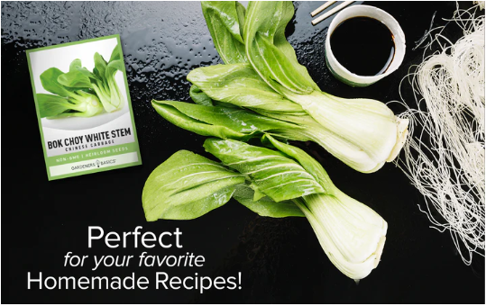 Bok Choy White Stem Chinese Cabbage Seeds