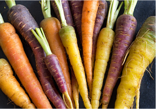 Rainbow Carrot Seeds
