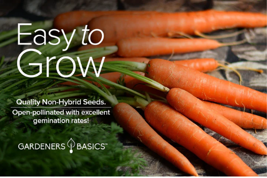 Imperator 58 Carrot Seeds