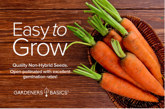 Scarlet Nantes Carrot Seeds