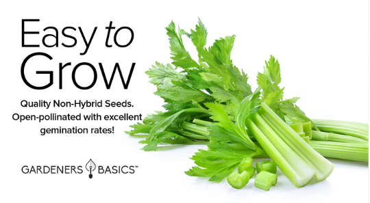 Utah 52-70 Celery Seeds