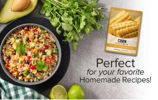 Early Golden Bantam Corn Seeds