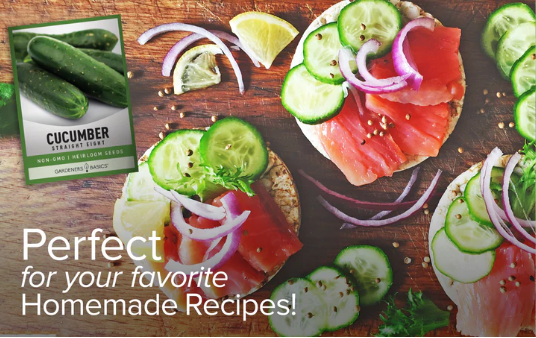 Straight Eight Cucumbers Seeds