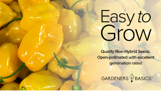 Yellow Habanero Pepper Seeds