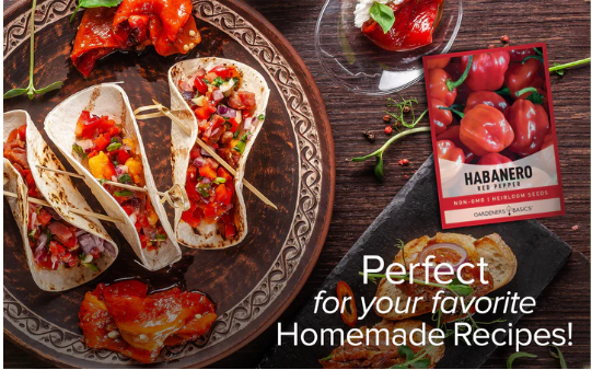 Red Habanero Pepper Seeds