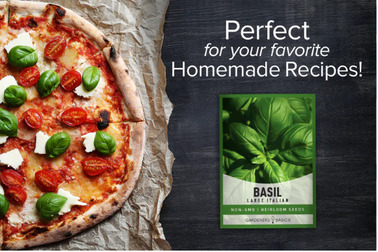 Italian Large Leaf Basil Seeds