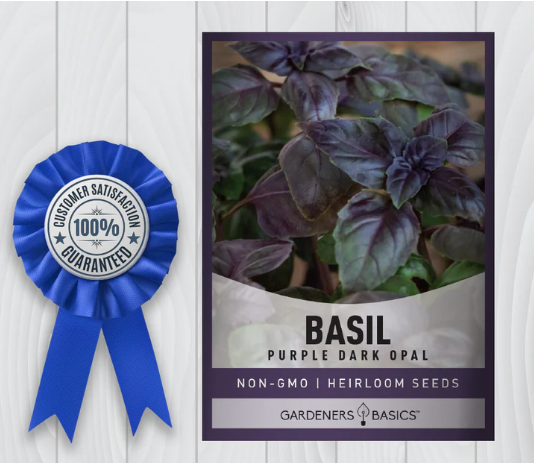 Dark Opal Basil Seeds