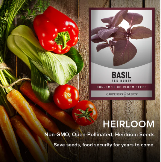 Red Rubin Basil Seeds