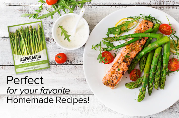 Mary Washington Asparagus Seeds