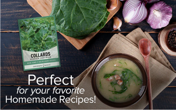 Georgia Southern Collard Seeds