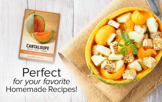 Hales Best Jumbo Cantaloupe Seeds