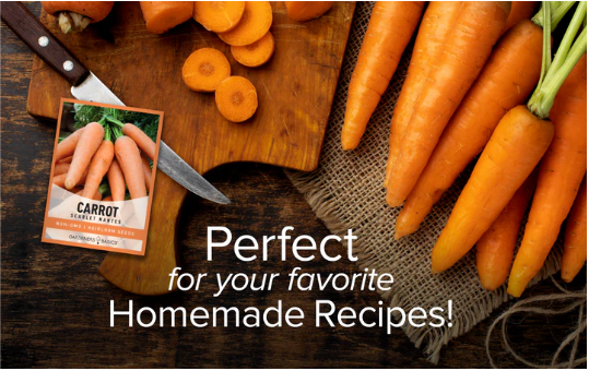 Scarlet Nantes Carrot Seeds