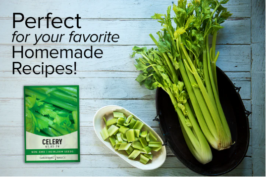 Utah 52-70 Celery Seeds