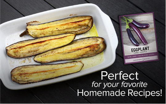 Long Purple Eggplant Seeds