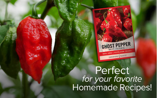 Ghost Pepper Seeds - Bhut Jolokia