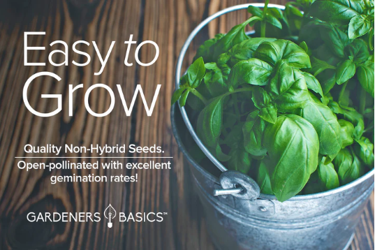 Genovese Basil Seeds