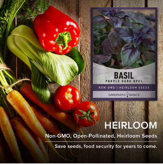 Dark Opal Basil Seeds