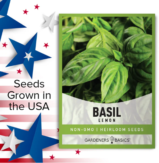 Lemon Basil Seeds