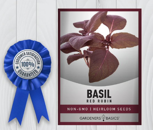Red Rubin Basil Seeds