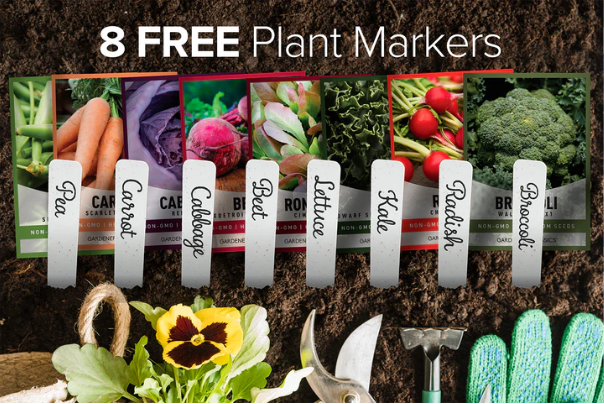 Winter Seed Assortment | 8 Variety Pack