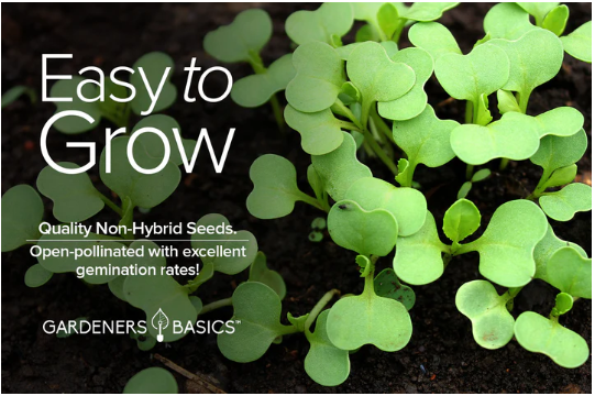 Bok Choy White Stem Chinese Cabbage Seeds