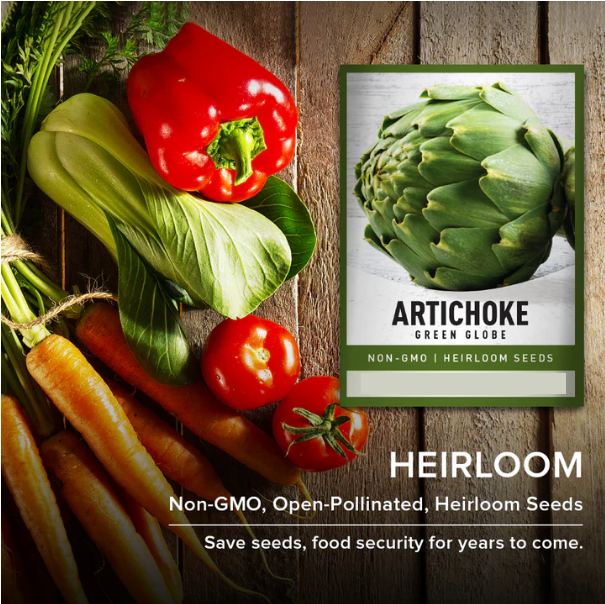 Green Globe Artichoke Seeds