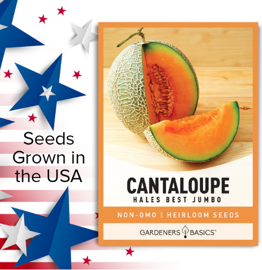 Hales Best Jumbo Cantaloupe Seeds