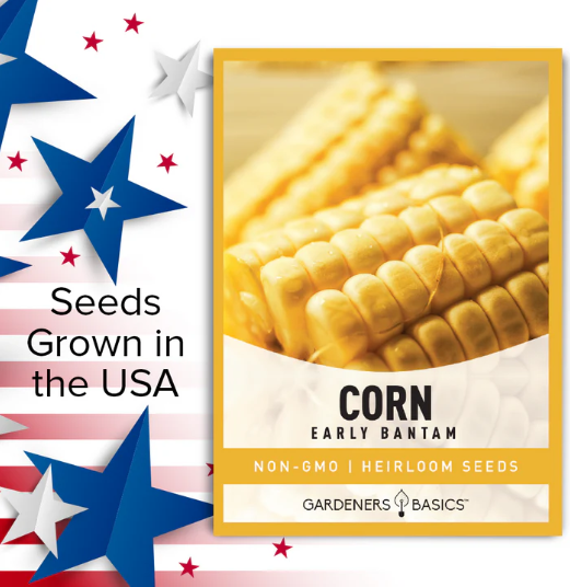 Early Golden Bantam Corn Seeds