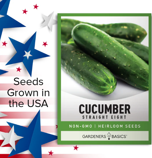 Straight Eight Cucumbers Seeds