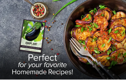 Black Beauty Eggplant Seeds