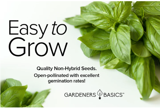 Italian Large Leaf Basil Seeds