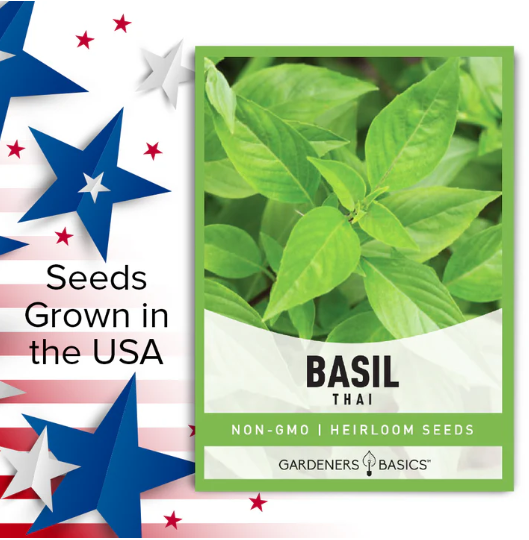 Thai Basil Seeds