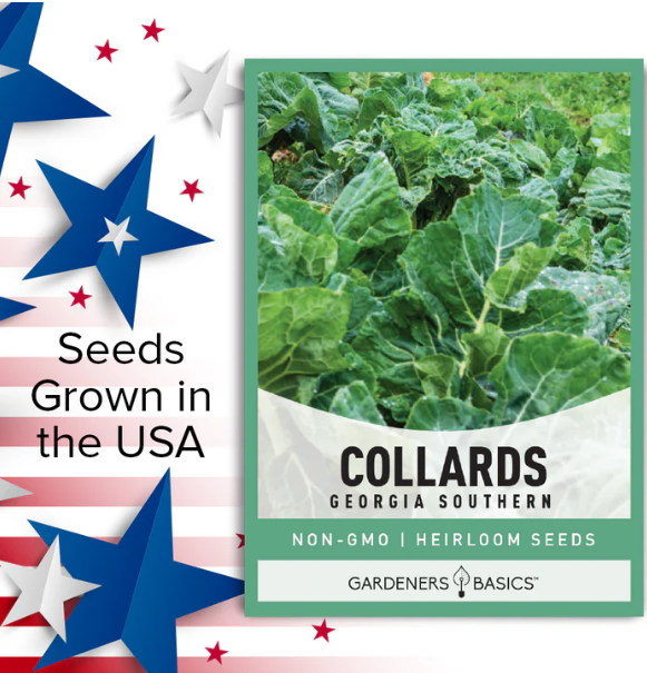 Georgia Southern Collard Seeds