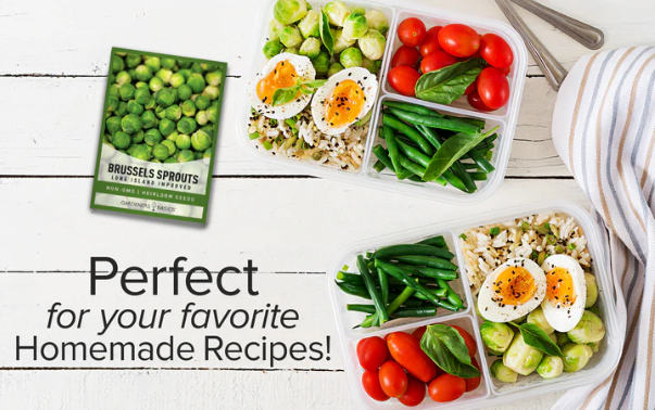 Long Island Improved Brussels Sprouts Seeds