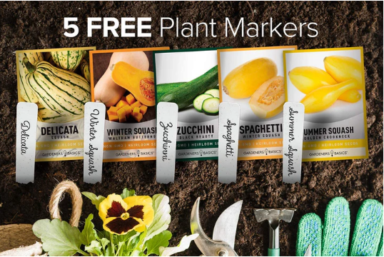 Heirloom Squash Seeds | 5 Variety Pack