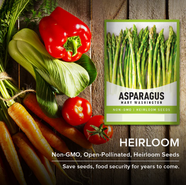 Mary Washington Asparagus Seeds