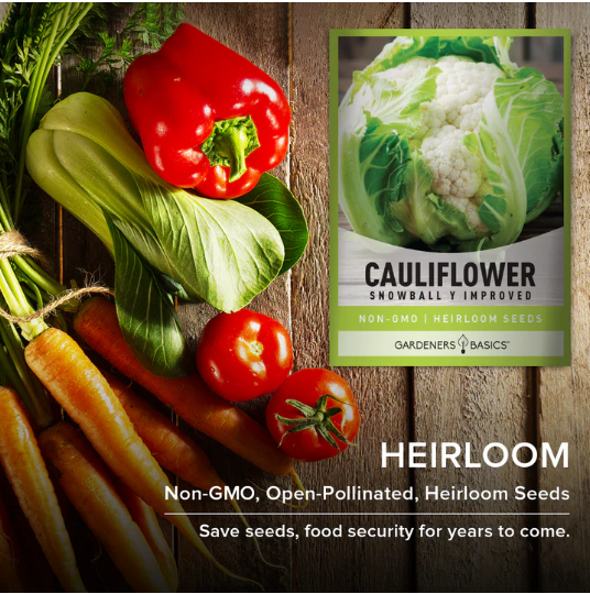 Snowball Y Improved Cauliflower Seeds