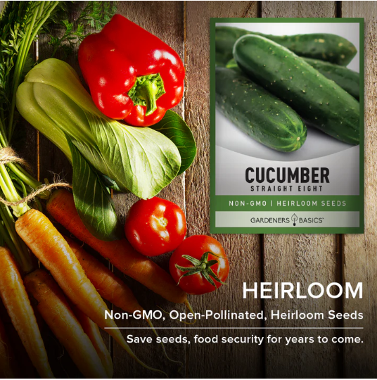 Straight Eight Cucumbers Seeds