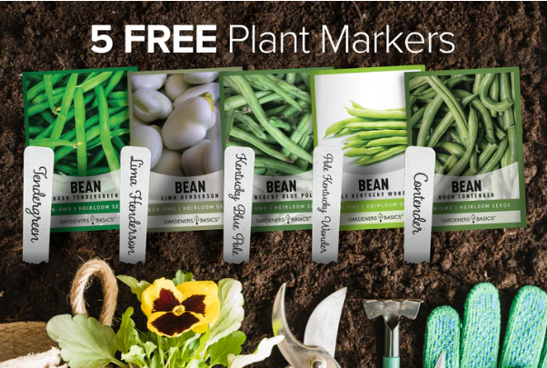 Bean Seeds For Planting | 5 Variety Pack
