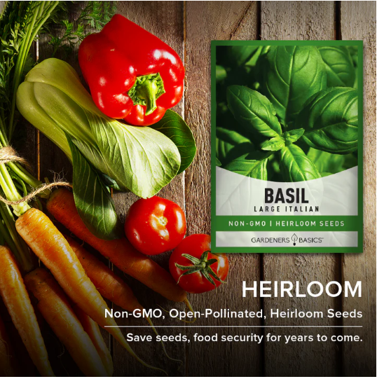 Italian Large Leaf Basil Seeds