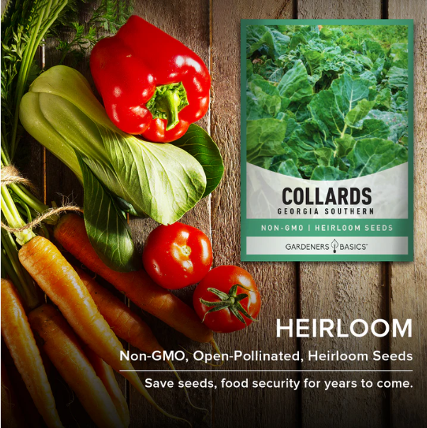 Georgia Southern Collard Seeds