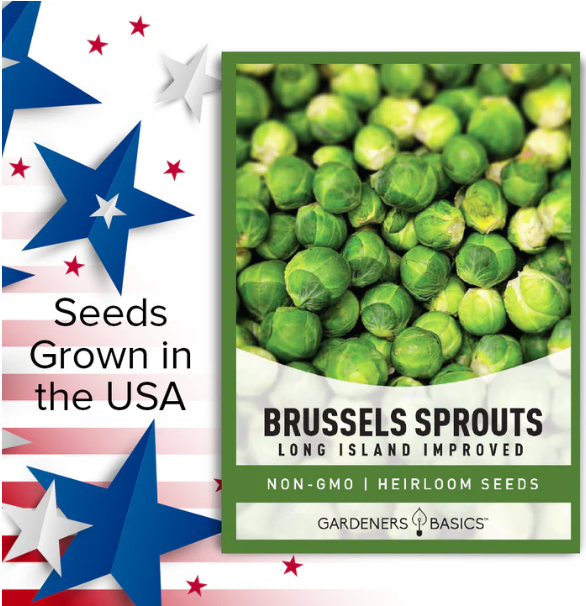 Long Island Improved Brussels Sprouts Seeds