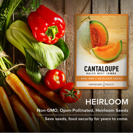 Hales Best Jumbo Cantaloupe Seeds
