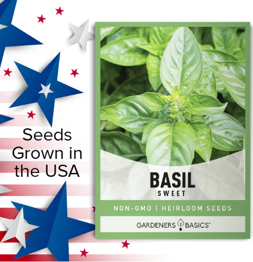 Sweet Basil Seeds