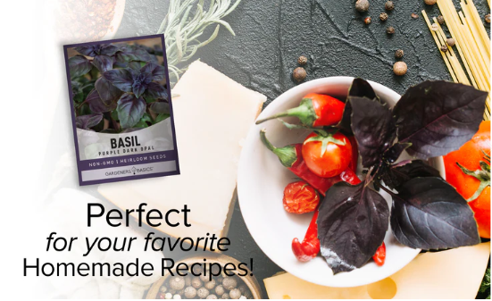 Dark Opal Basil Seeds