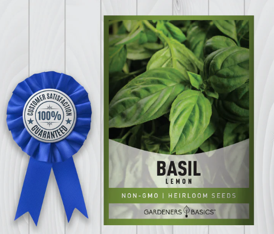 Lemon Basil Seeds