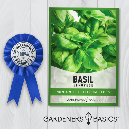Genovese Basil Seeds