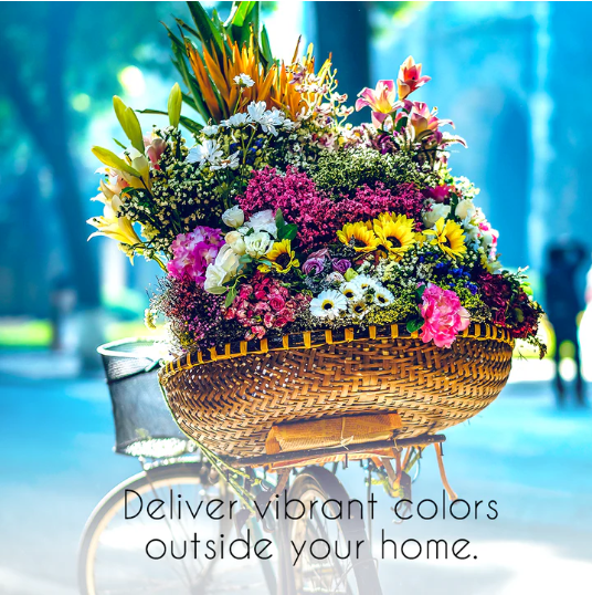 Seedvera peace flower, 25 Variety Pack