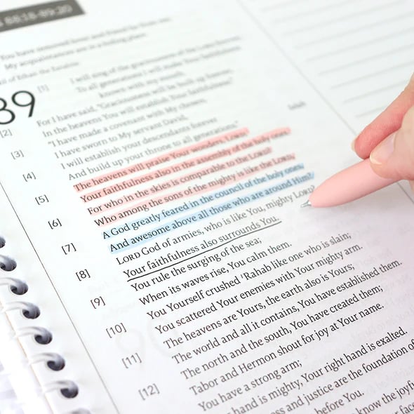 🙏The Bible In A Year: A 52-Week Journey Through God's Word